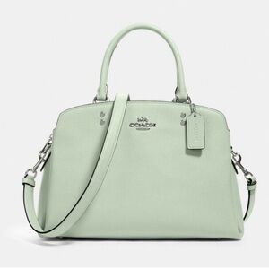 Coach Lillie Carryall in stunning pale/mint green color. New without tags.